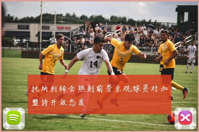 托纳利转会热刺前景乐观球员对加盟持开放态度